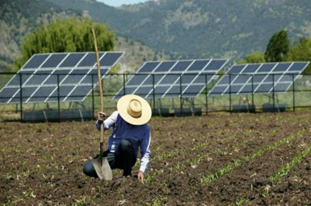 paneles solares rural